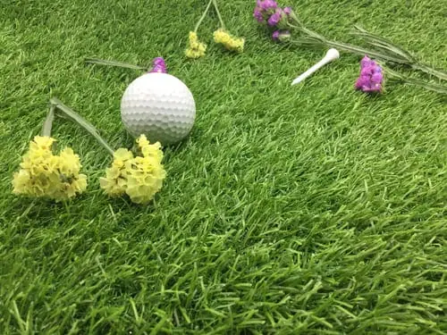 Artificial Turf or Real Grass? An Honest Comparison for Bay Area Yards