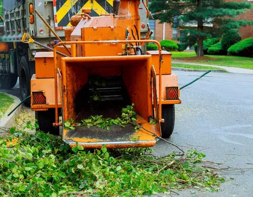 A Season-by-Season Yard Checklist for Santa Clara County